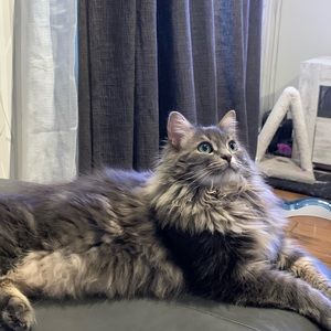 Meet your Posher, Martine